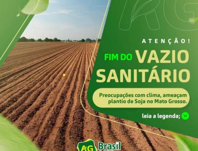 Fim do Vazio Sanitário: Preocupações com Clima Ameaçam Plantio de Soja no Mato Grosso